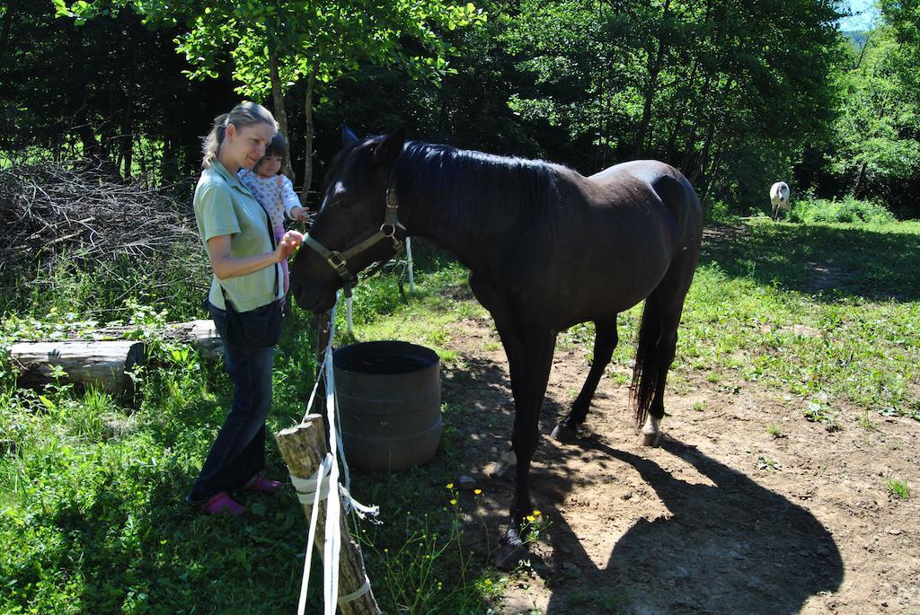 Vremski Britof Tourist Farm Dujceva Domacija 빌라 외부 사진