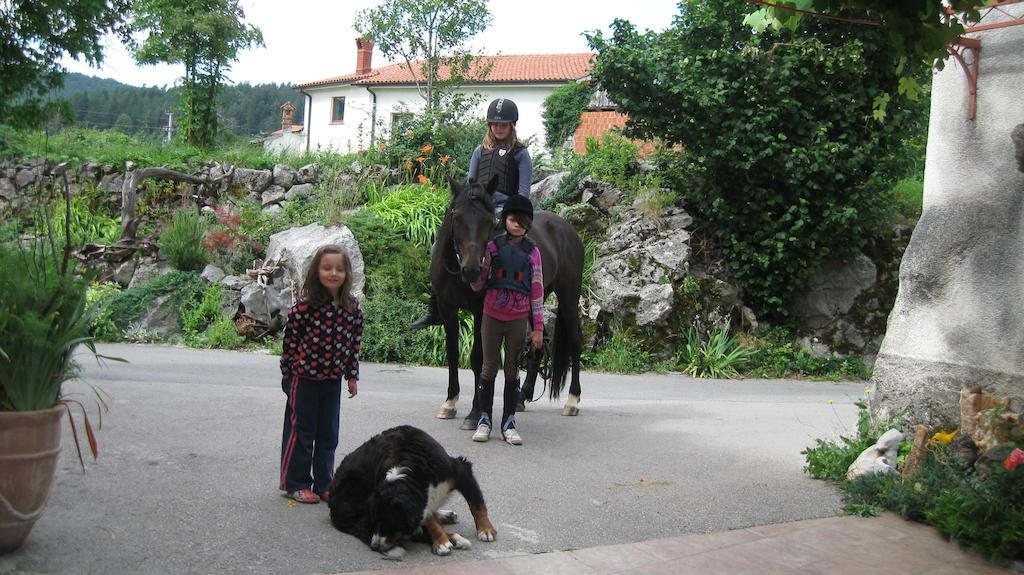 Vremski Britof Tourist Farm Dujceva Domacija 빌라 외부 사진