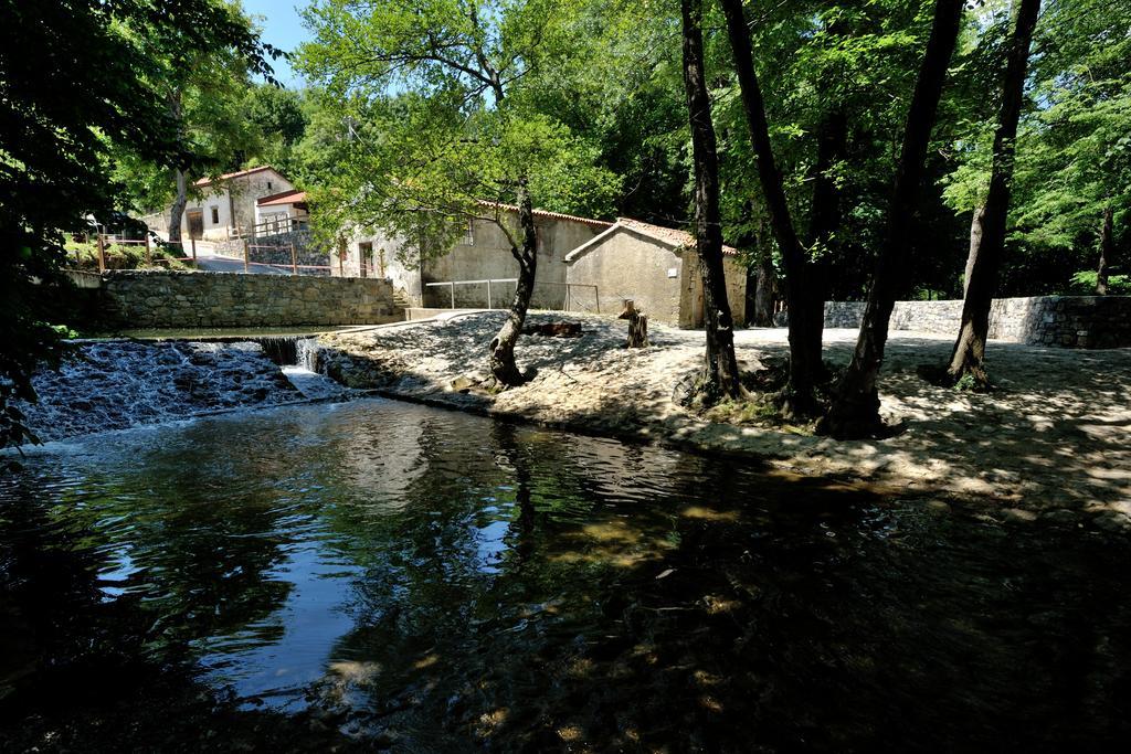 Vremski Britof Tourist Farm Dujceva Domacija 빌라 외부 사진