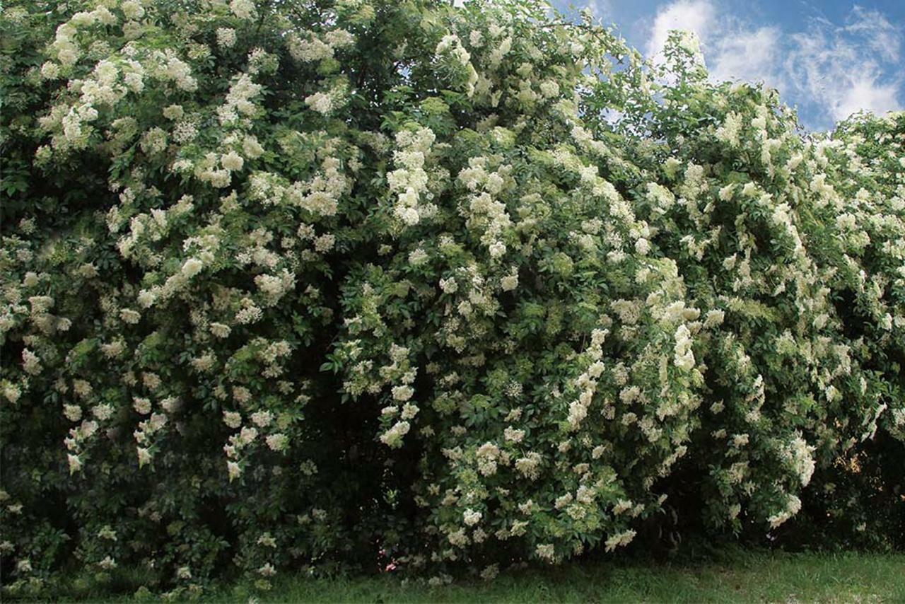 Vremski Britof Tourist Farm Dujceva Domacija 빌라 외부 사진